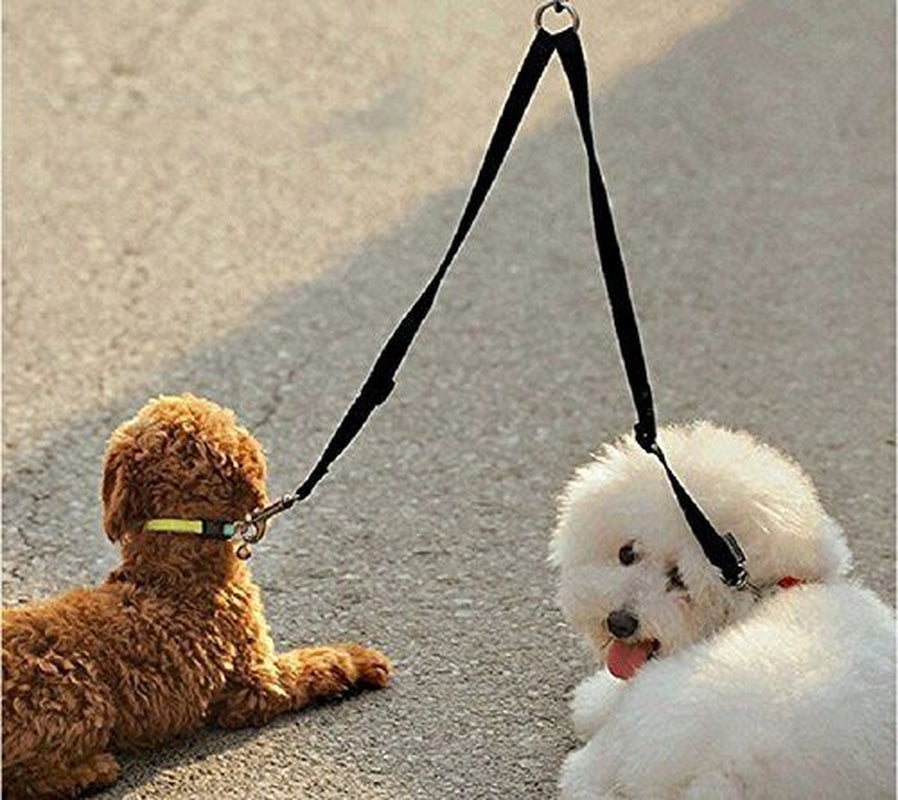 No-Tangle Dual Dog Leash Splitter – Double Dog Leashes for Walking & Training