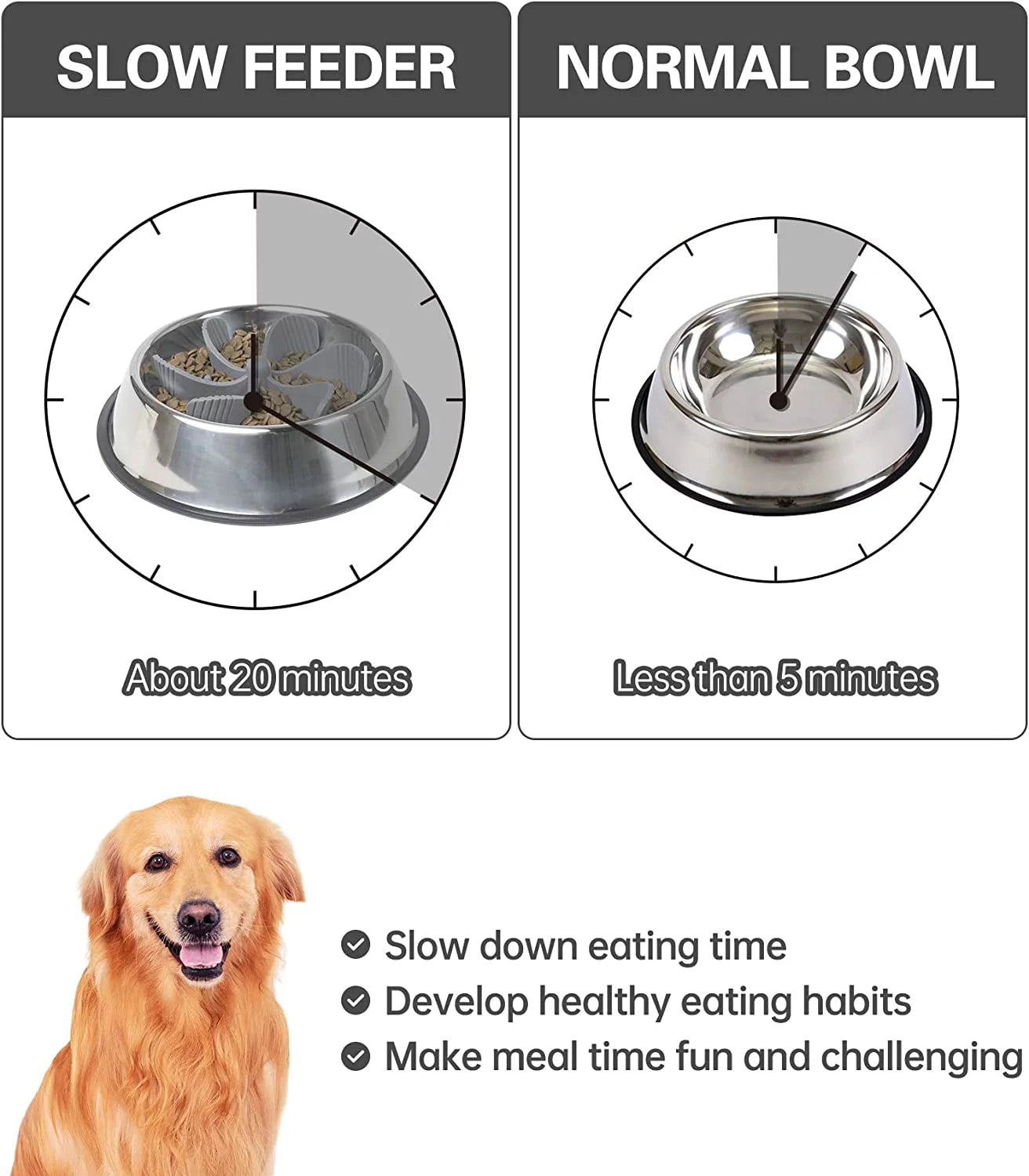 Suction Insert Feeder Dog Bowl – Secure & Stable Feeding Solution for Dogs