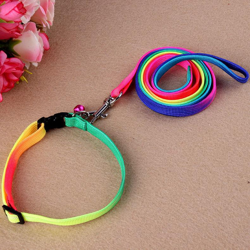 Rainbow Round Cat Collar & Leash | Durable & Stylish Cat Leash for Outdoor Adventures