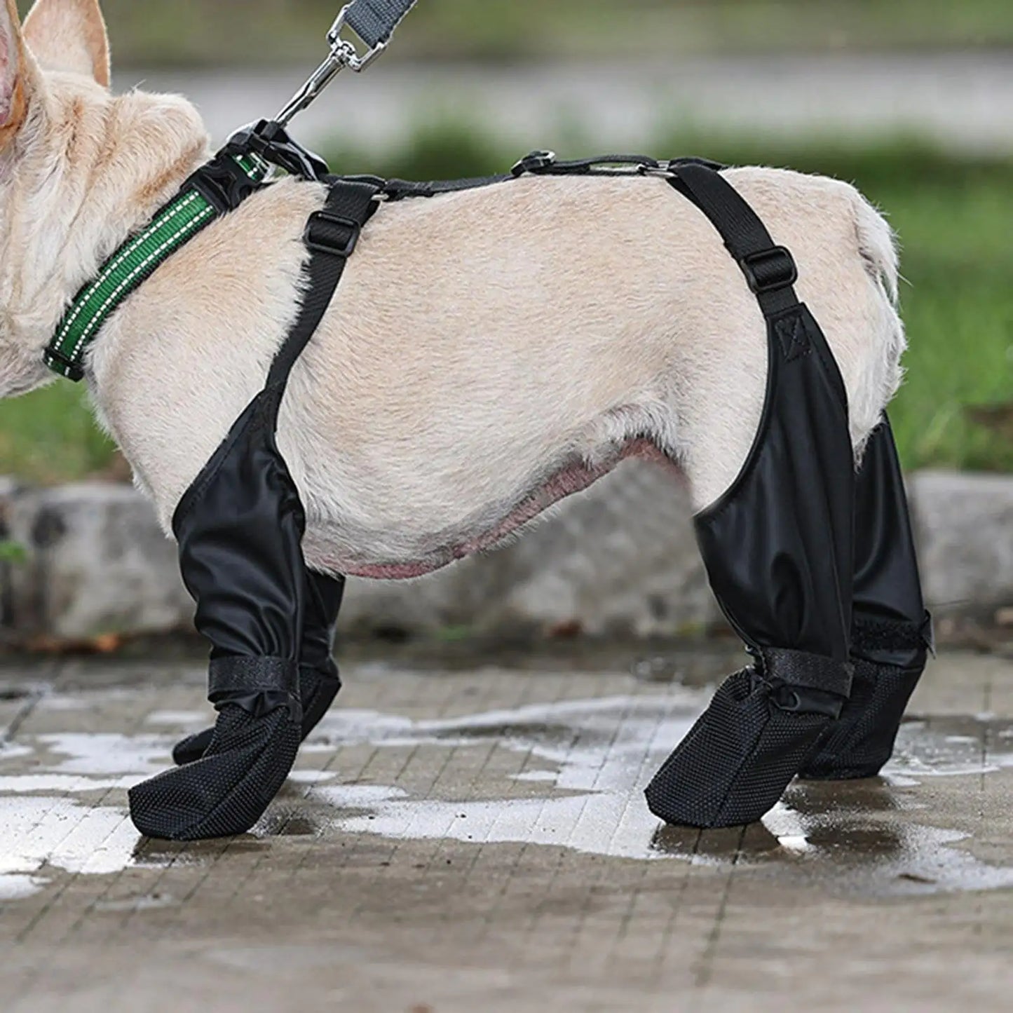 Ultimate Paw Protection: Suspender Dog Boots for All-Weather Comfort & Secure Fit