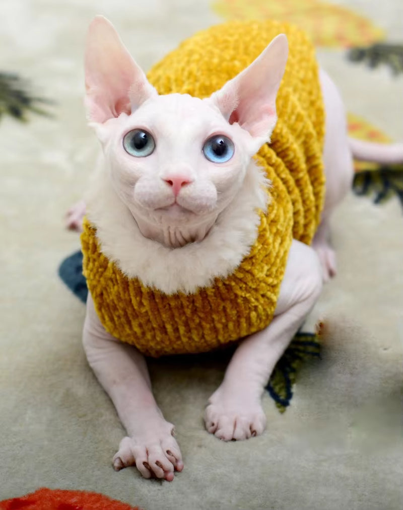 Cat Clothes Winter Warm Handmade Knitted Sweater 