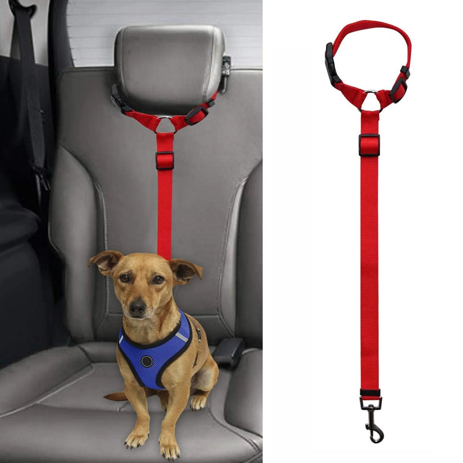 Secureflex Pet Safety Leash – Ultimate Control for Every Adventure!