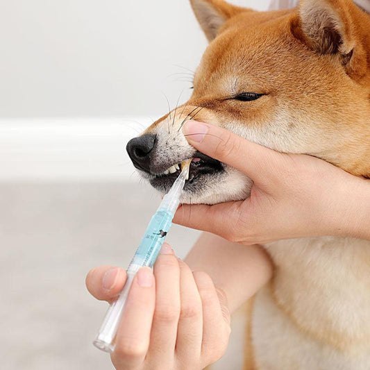 Pet Teeth Repairing Kit for Dogs and Cats