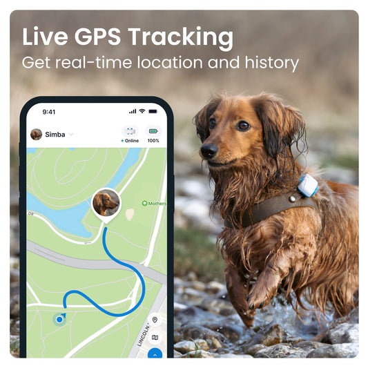 Dog GPS Tracker with Activity Monitoring – Fits Any Collar (Dark Blue)