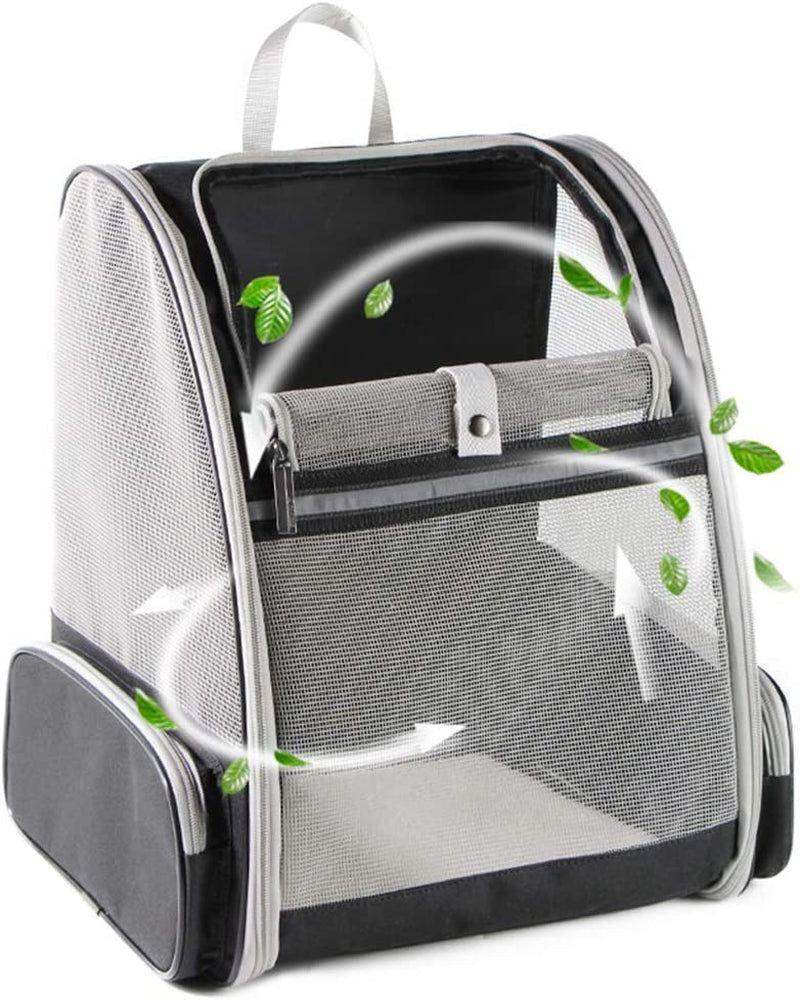 Paws & Adventures: The Ultimate Bubble Backpack Pet Carrier