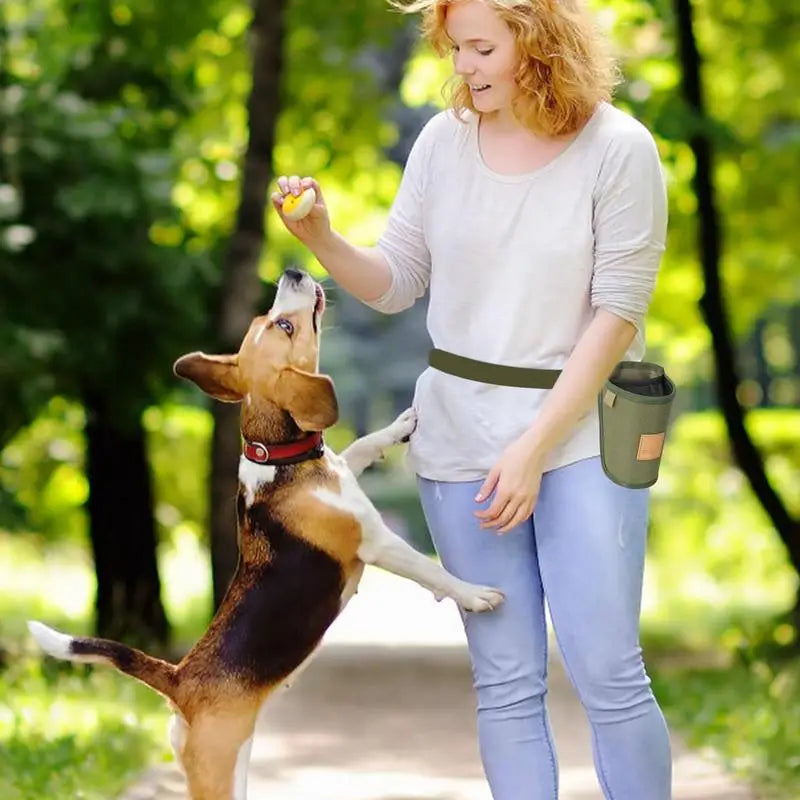 Portable Dog Training Snack Bag – Waist Bag for Treats, Rewards, and Puppy Feeding Supplies