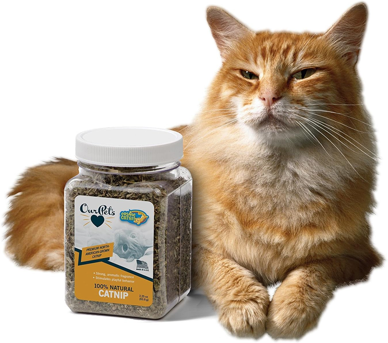 Premium Catnip: High Potency Delight for Your Feline Friends!