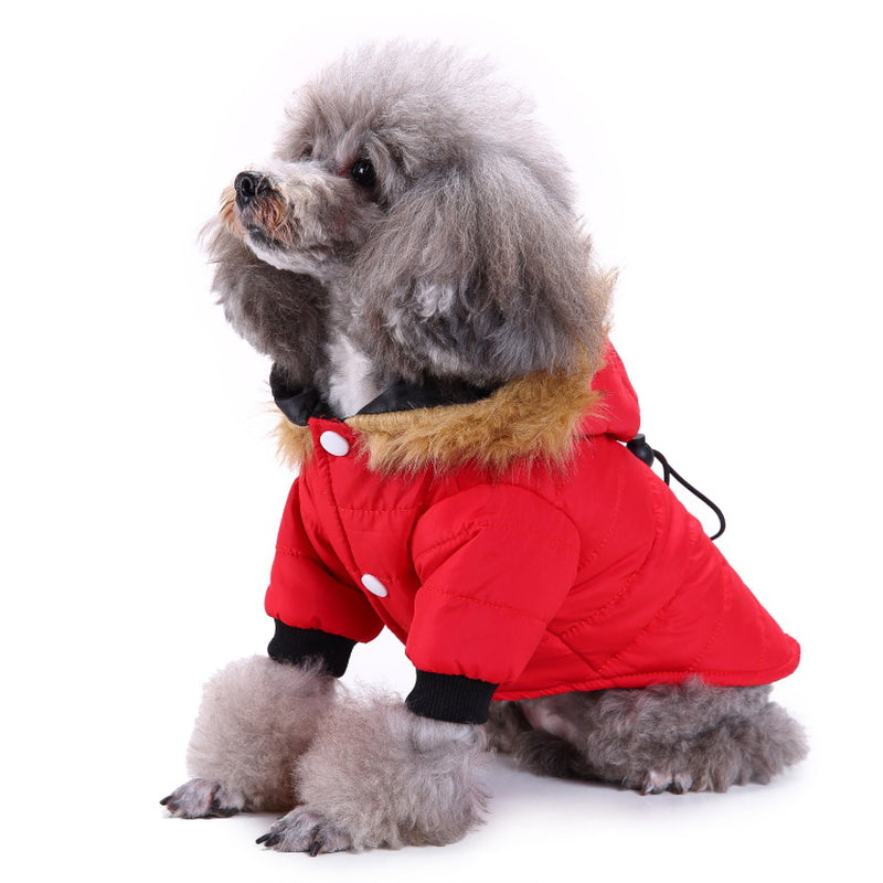 Cozy Up Your Pet: Stylish Winter Clothing Collection for Pets