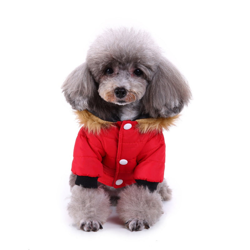 Cozy Up Your Pet: Stylish Winter Clothing Collection for Pets