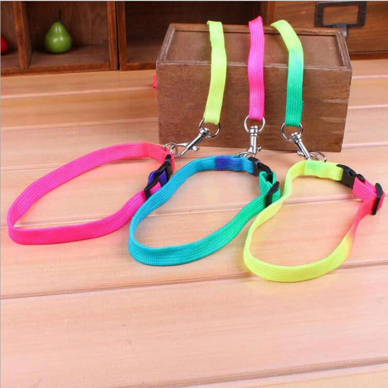 Rainbow Round Cat Collar & Leash | Durable & Stylish Cat Leash for Outdoor Adventures