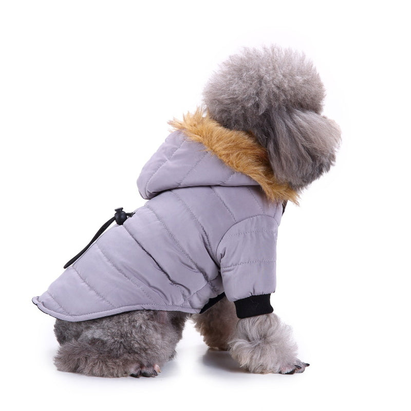 Cozy Up Your Pet: Stylish Winter Clothing Collection for Pets