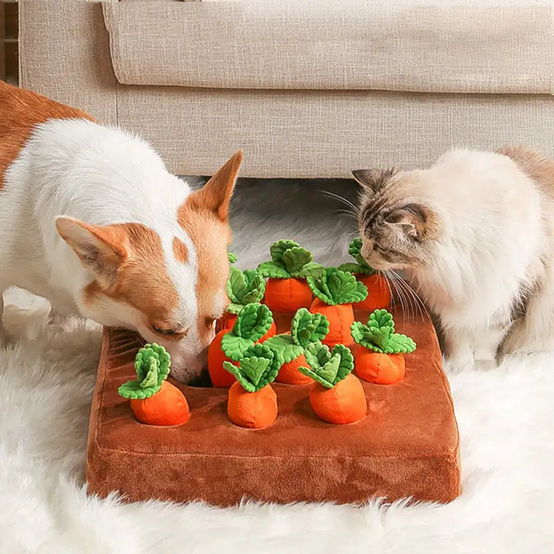 Nutritious & Durable Vegetable Chew Toy for Pets: Healthy Fun for Your Furry Friends!