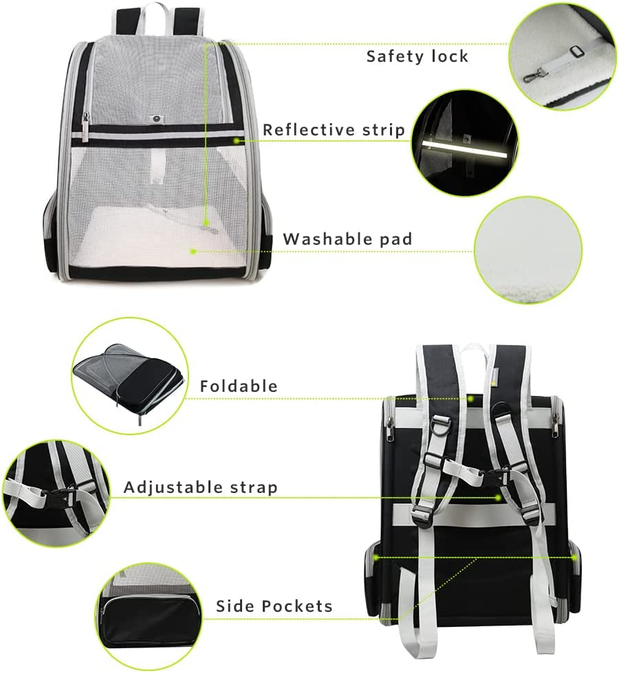 Paws & Adventures: The Ultimate Bubble Backpack Pet Carrier