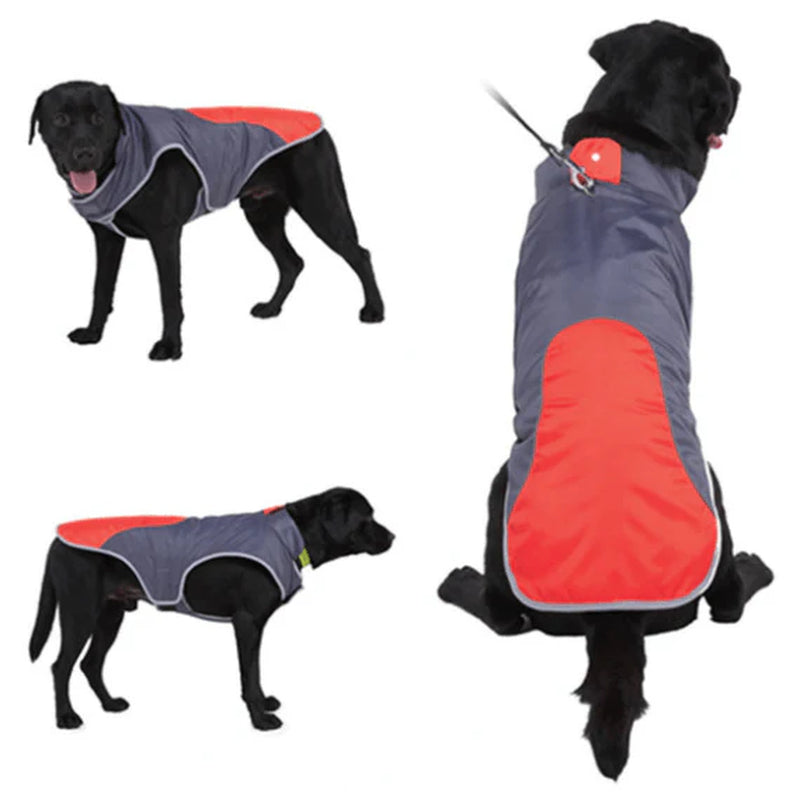 Reflective Pet Safety Jacket – High-Visibility Vest for Safe Walks and Outdoor Adventures