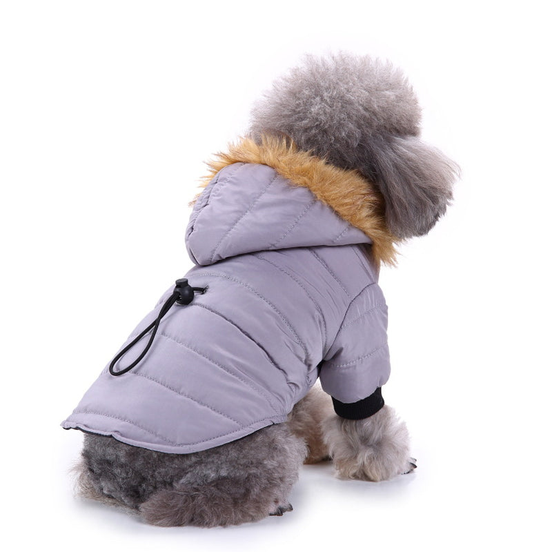 Cozy Up Your Pet: Stylish Winter Clothing Collection for Pets