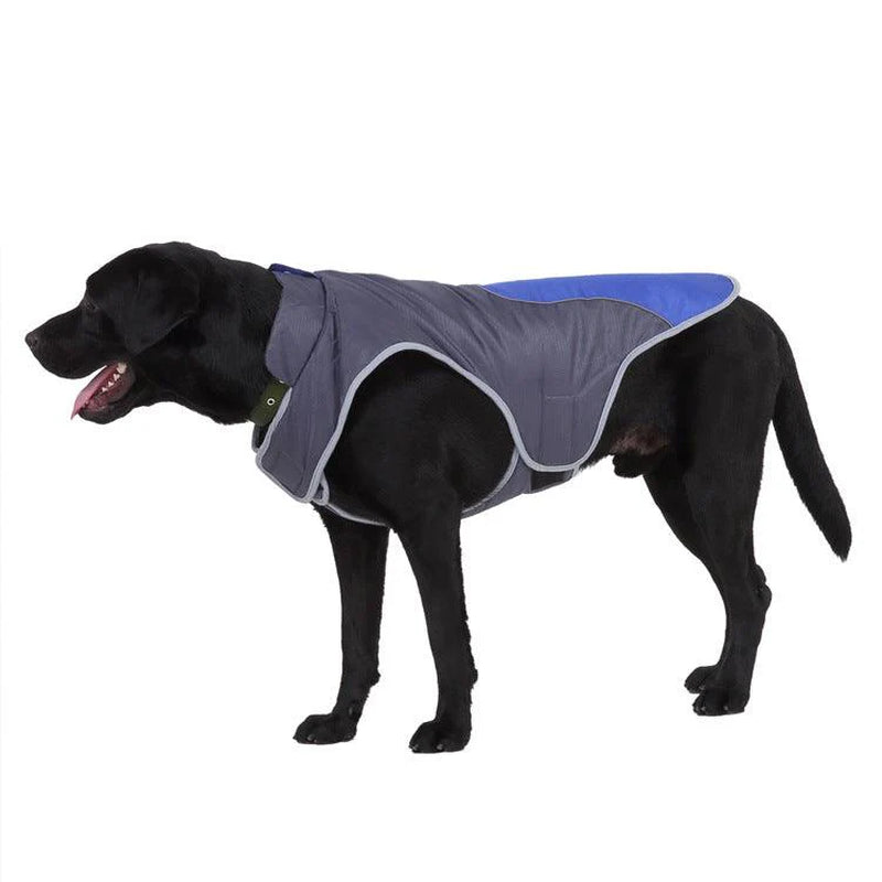 Reflective Pet Safety Jacket – High-Visibility Vest for Safe Walks and Outdoor Adventures