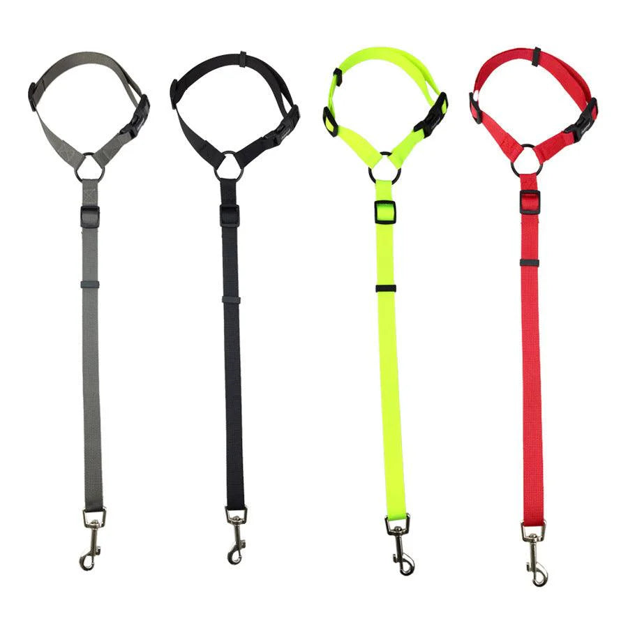 Secureflex Pet Safety Leash – Ultimate Control for Every Adventure!