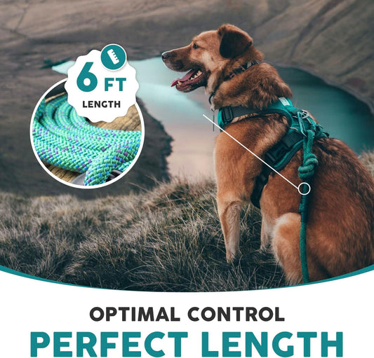 Sierra Mountain Climbing Dog Leash – 6 Ft Thick Rope Leash with Carabiner & Soft Padded Handle. Durable Turquoise Leash for Large, Medium & Small Dogs