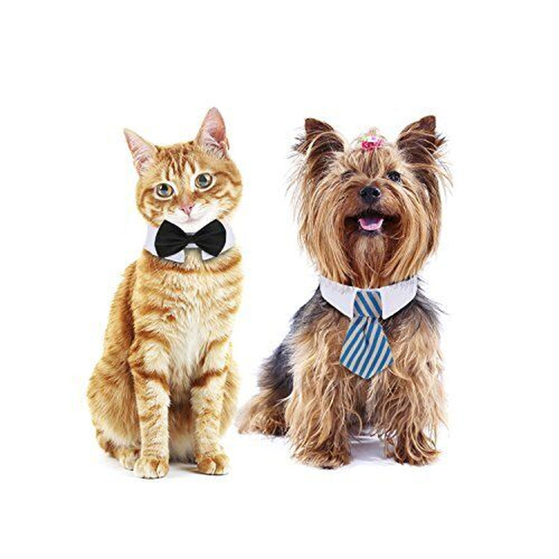 3-Pack Pet Tuxedo Collar Bow Tie – Stylish Wedding Necktie Costume for  Dogs! Perfect for Special Occasions!