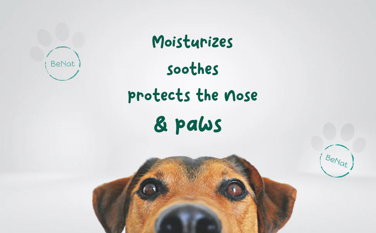 Benat Pets Furry Pet Balm: Nourish and Protect Your Pet’s Skin!