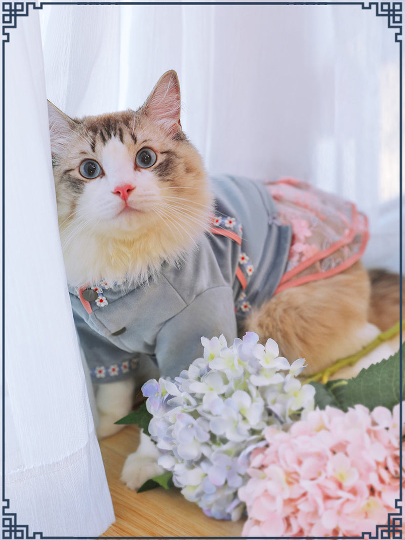 Elegant Oriental-Inspired Cat Clothes – Stylish & Comfortable Apparel for Cats