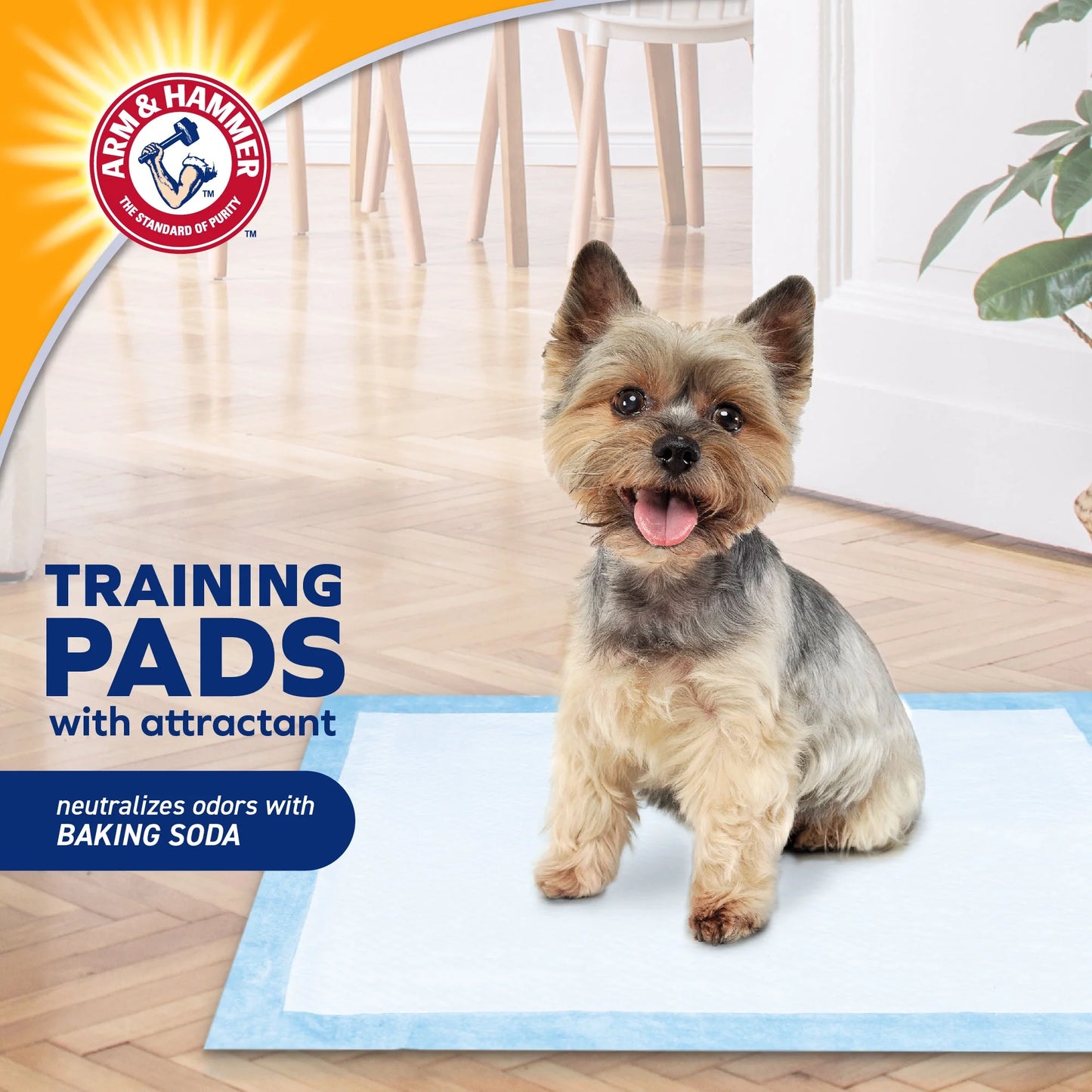 Dogs & Puppy Training Pads with Attractant (50 Pads)