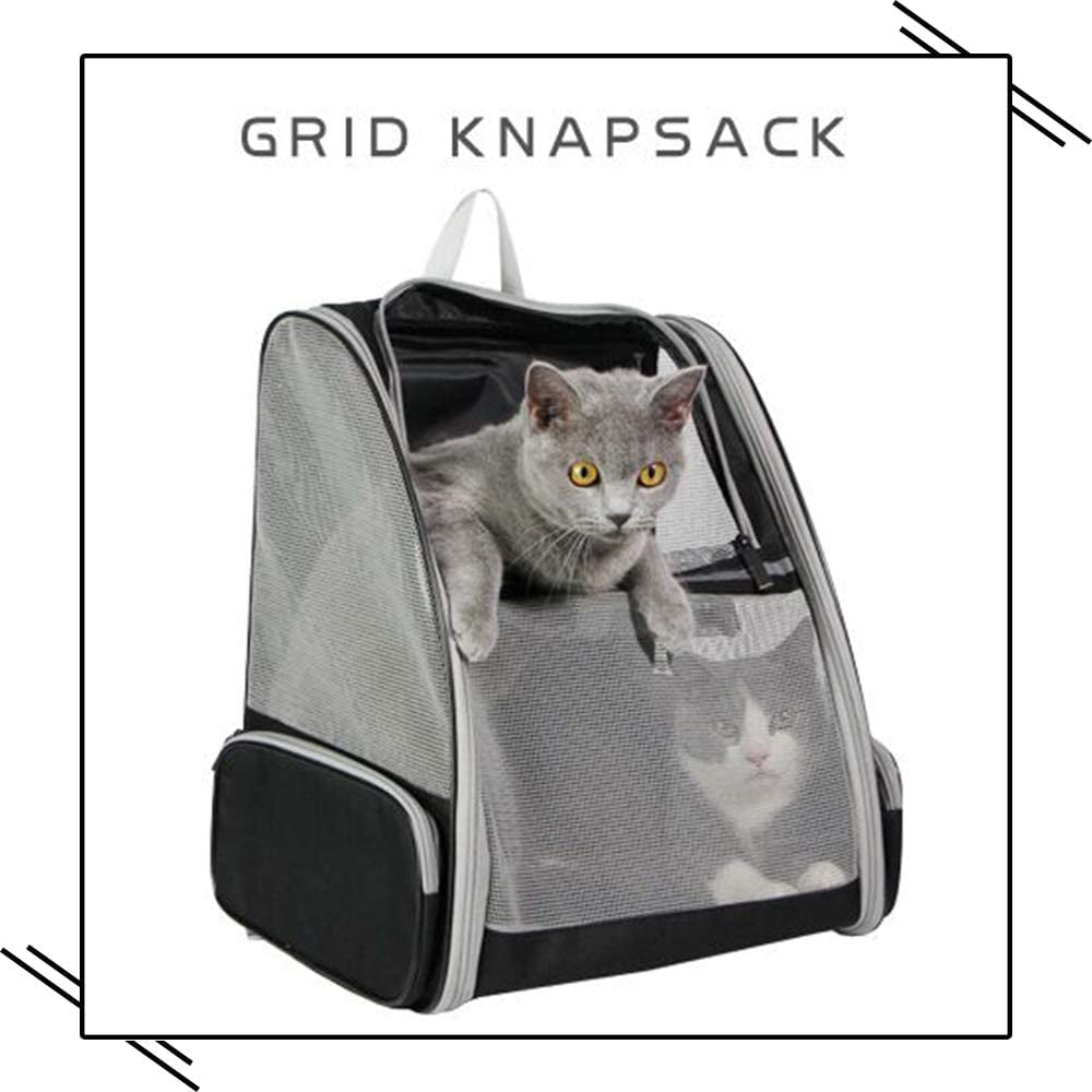 Paws & Adventures: The Ultimate Bubble Backpack Pet Carrier